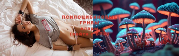 ГАЛЛЮЦИНОГЕННЫЕ ГРИБЫ Луховицы
