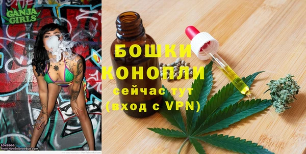 ГАЛЛЮЦИНОГЕННЫЕ ГРИБЫ Няндома