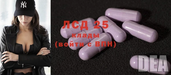 ГАЛЛЮЦИНОГЕННЫЕ ГРИБЫ Няндома