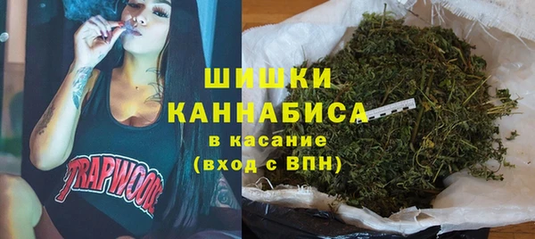 ГАЛЛЮЦИНОГЕННЫЕ ГРИБЫ Няндома