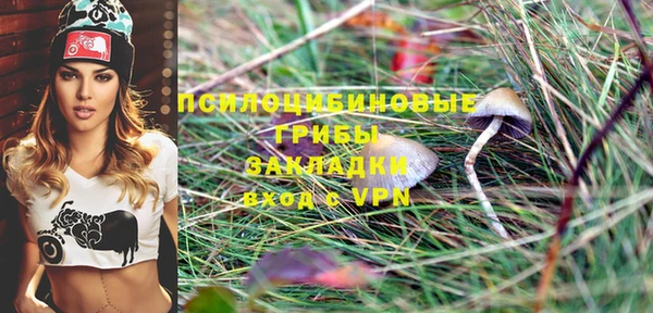 дживик Новокубанск