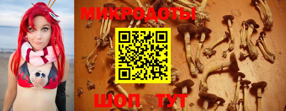 купить  сайты  Псилоцибиновые грибы Psilocybine cubensis  Вход с VPN  Саяногорск 