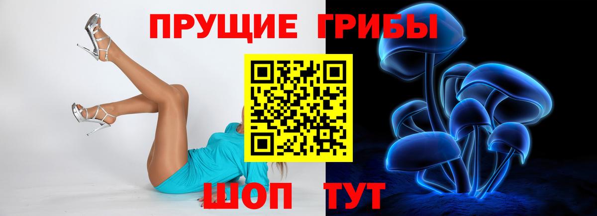 Галлюциногенные грибы Cubensis Саяногорск